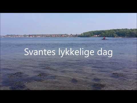 download lagu mp3 mp4 Svantes Lykkelige Dag Tekst, download lagu Svantes Lykkelige Dag Tekst gratis, unduh video klip Svantes Lykkelige Dag Tekst