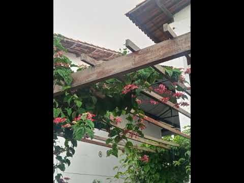 MC THAMMY, LYA QUEIROZ E MC LETÍCIA - Amante do Teu Marido (sped up)