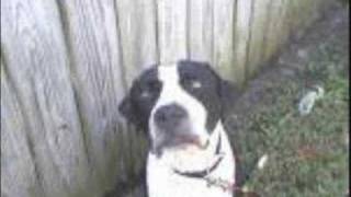 snake devil-scary kids scaring kids