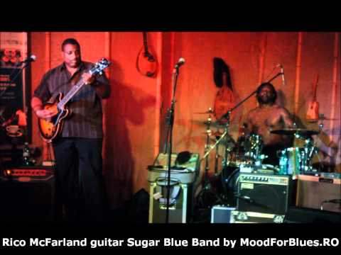 Rico McFarland and at the end Sugar Blue in Prietenii Mei Club.wmv