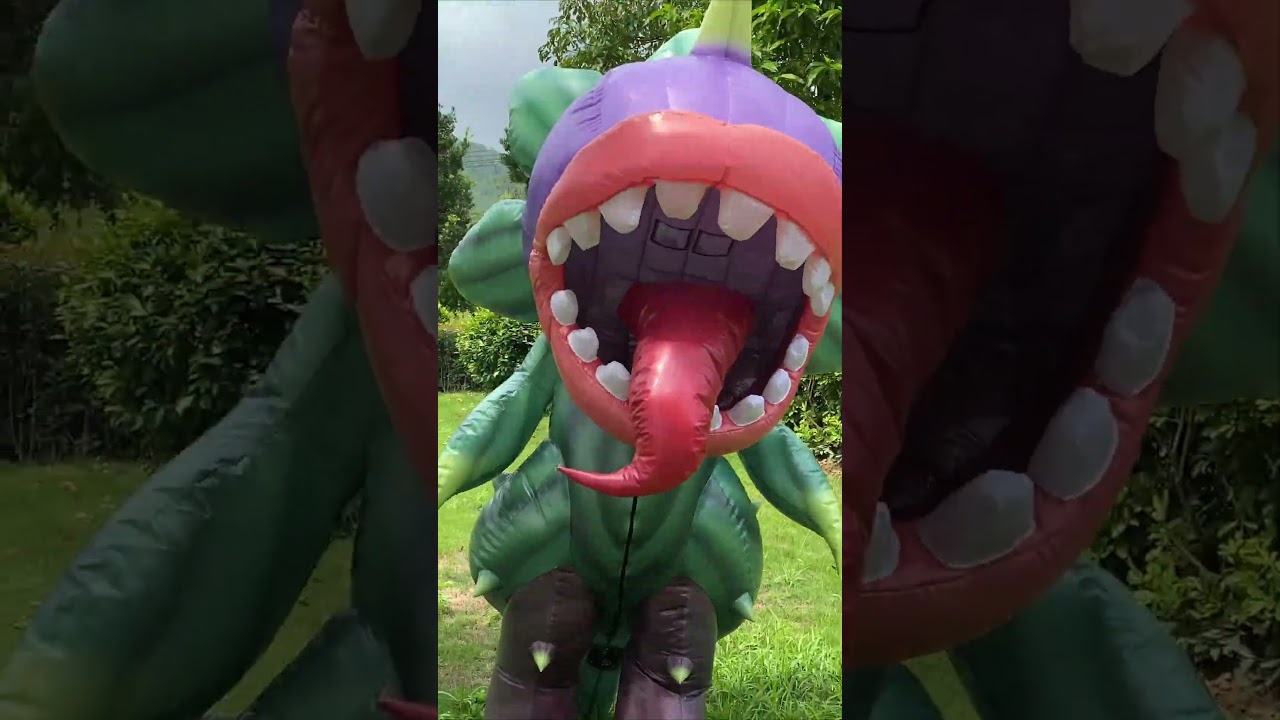Video Placeholder