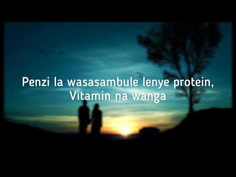 Mbosso_-_Nimezama(video lyrics)