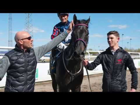 Årspremiär 19 april 2020 - Plantstepsdream