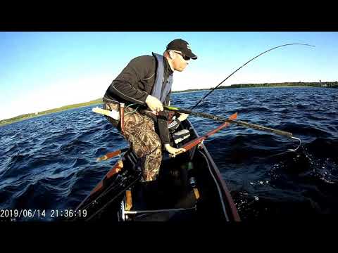 Tornionjoki Matkakoski 10 kg 14.6.2019