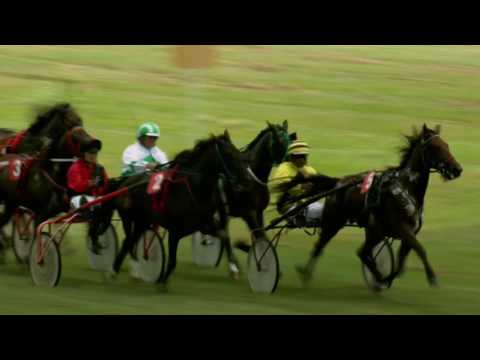 Course 1 Prix de Grosbois 04/06/17