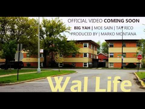 Big Yah | Moe Sain | Tay Rico - NIGGAS ACTIN LIKE BITCHES | @WalLifeEnt