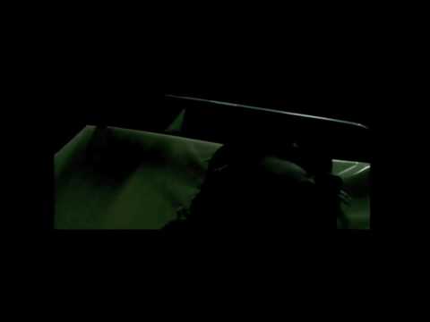 Dj Aligator - The whistle song