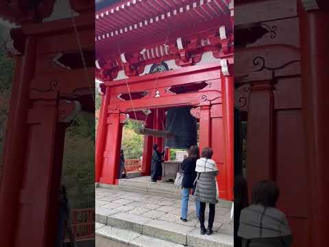 日本五日遊Day2.京都～ 比叡山坂本登山纜車 延曆寺 #京都 #比叡山 #比叡山延暦寺 #shorts