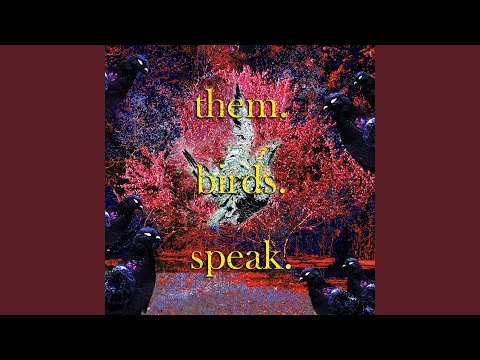 them birds speak