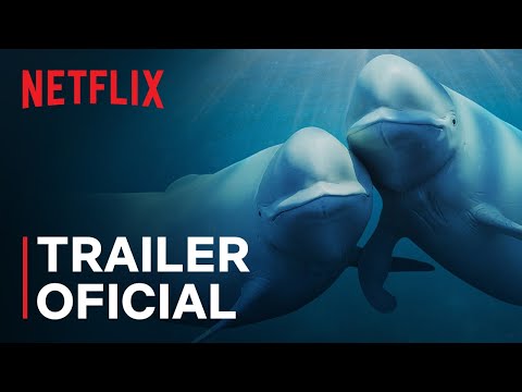 Trailer de Nossos Oceanos (2024)