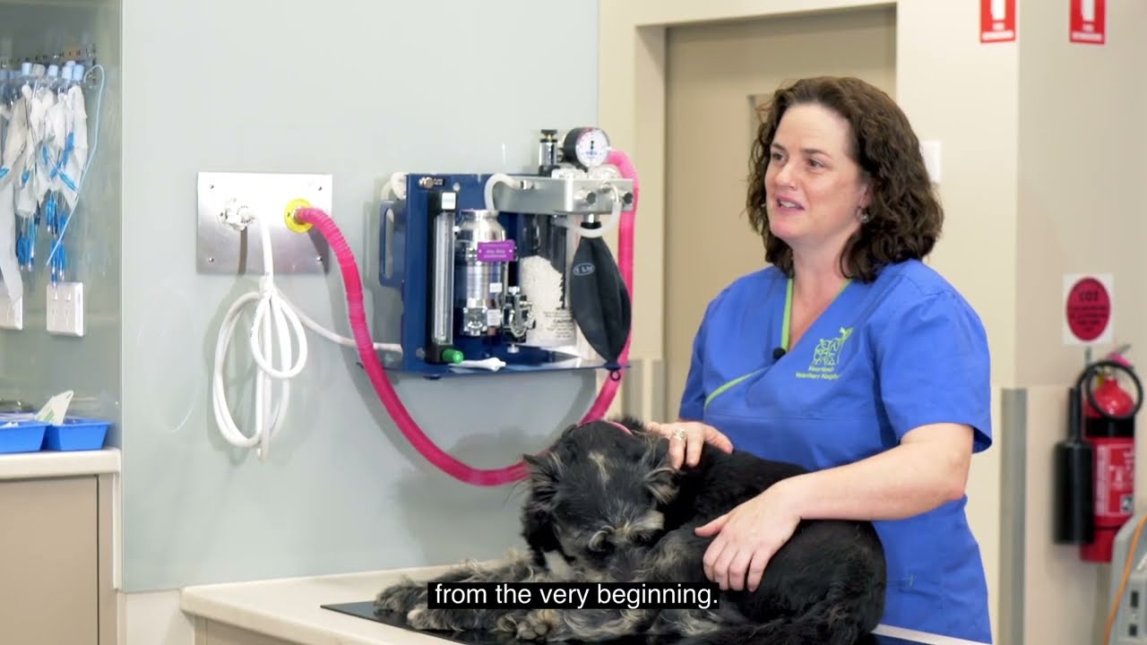 Client story: Heartlands Veterinary Hospital