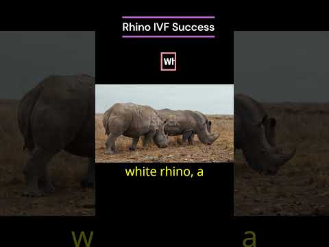 Mind-blowing new discoveries #facts #rhino #browndwarf #spaceknowledge #biologyfact