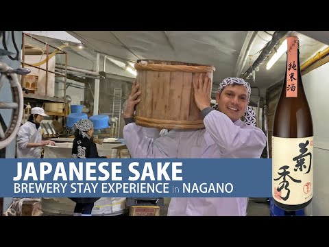 長野日本清酒釀造體驗 (Japanese Sake Brewery Experience in Nagano)