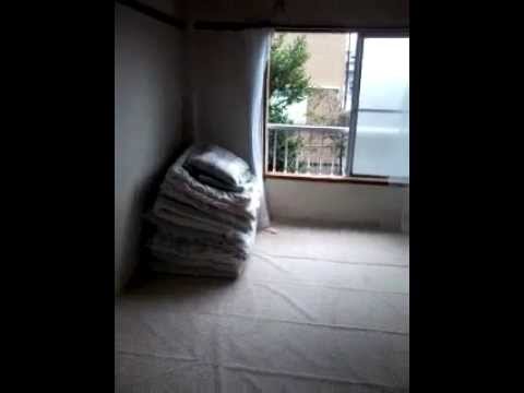 apato kenshushei di jepang