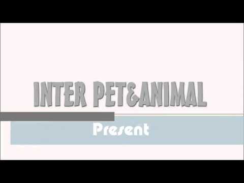 9 BEST GOAL INW 2015HD