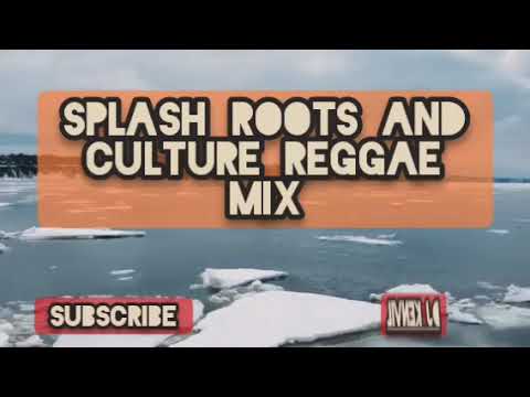 splash roots and culture reggae mix