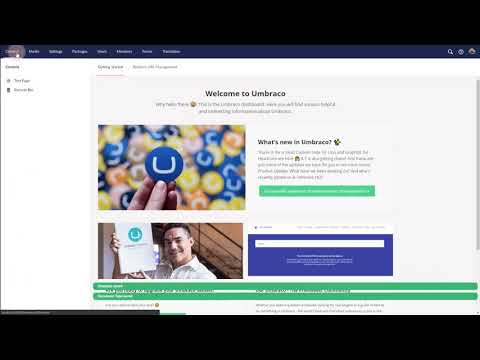 Contentment for Umbraco - Render Macro read-only editor