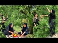 زندگی روستایی ایرانی با یک غذای محبوب بهاری به سبک روست