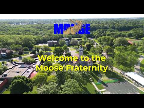 715 Moose Lodge