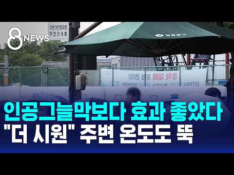 나무 그늘이 인공 그늘막보다 더 시원하다고요?