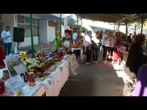 Info - Prva Ajvarijada u Nišu (TV KCN 18.09.2024)