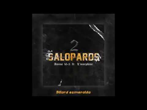 l'Morphine ft Amine 16 - 3 - SALOPADS (Video Lyrics)
