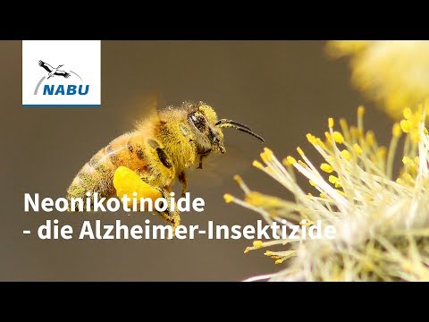 Neonikotinoide: So gefährlich sind die Insektizide