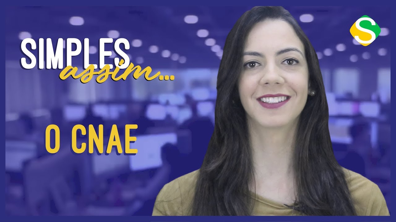 CNAE - Classificação Nacional de Atividades Econômicas - Simples Assim #23