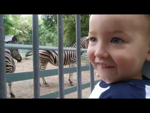 Vlog: Поехали в Ростовский зоопарк с детьми.