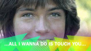 David Cassidy - All I Wanna Do Is Touch You