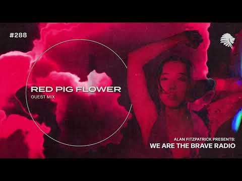 We Are The Brave Radio 288 - Red Pig Flower (Guest Mix)