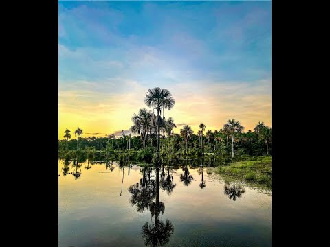 Nobres no MT Espetacular