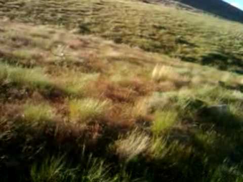 video-2010-06-06-18-16-55