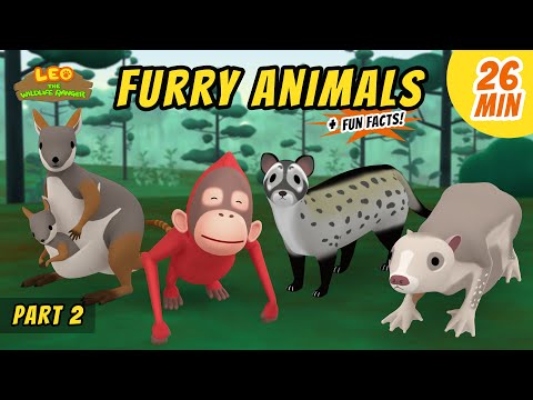 Witness21 Editor  2021 04 01