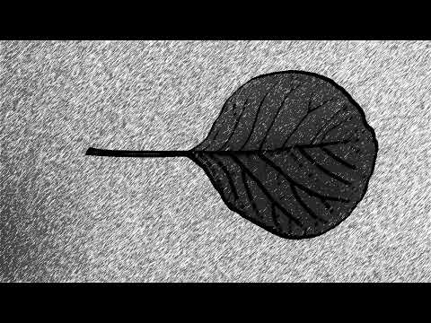 Subdimension Cam - GPU effects