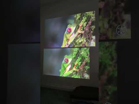 Magcubic L018 (Tiktok Beast Pro) Vs. Aurzen Ezzee D1 #magcubic #Aurzen