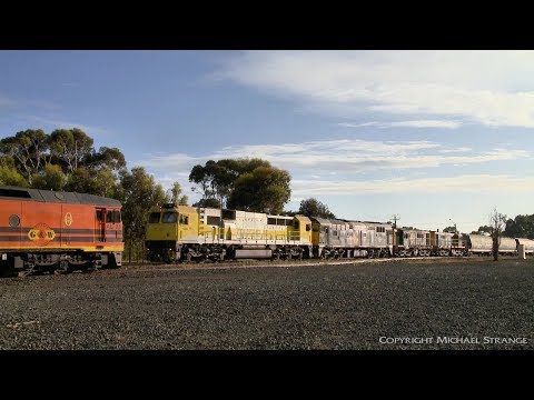 9762V QUBE Grain Train (GML10, 8044, 872 & 864) - PoathTV Australian Railways