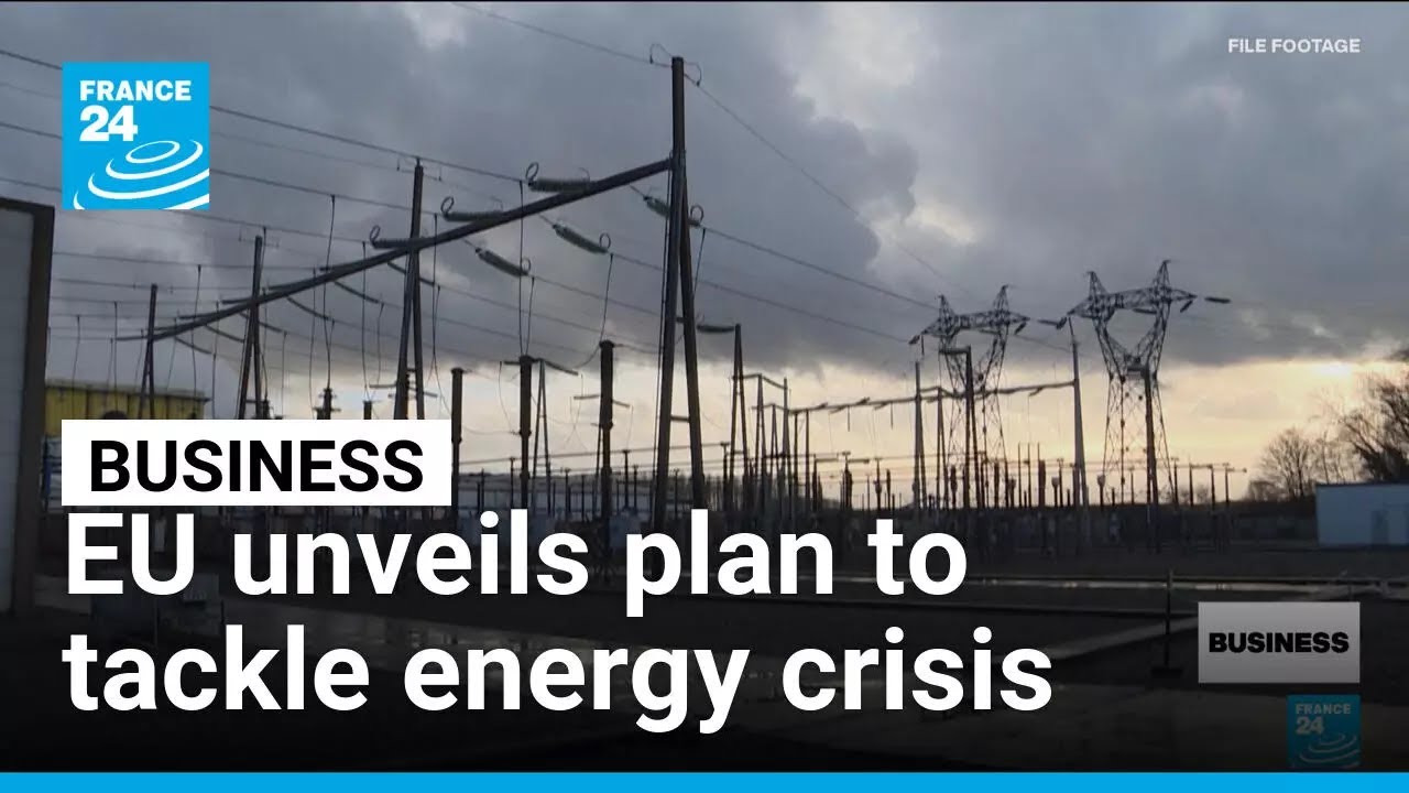 EU unveils plan to tackle energy crisis • FRANCE 24 English
