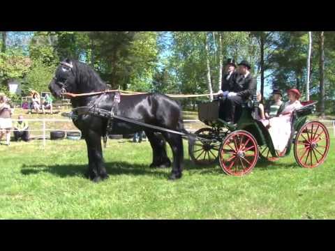 Kopaniny byly svědkem příjezdu nádherných kočárů