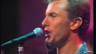 James Reyne - No Such Thing As Love (MTV In Concert 20th May 1989)