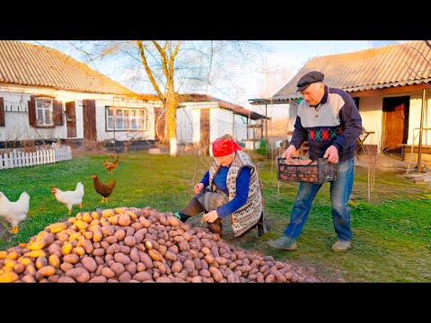 A Day in the Life of an Elderly Couple Living Off the Land