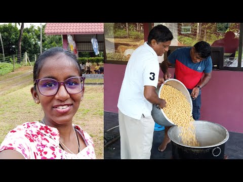 Free Food in My Country 😋 Free Street Food for All