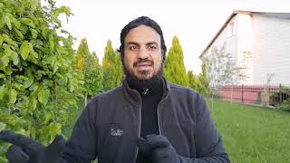 صورة ولكن جعلناه نورًا (١٦) أفمن يعلمُ أنما أُنزل إليك من ربك الحقُ كمن هو أعمى