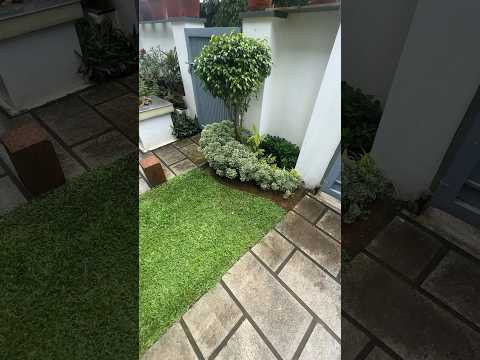 💚💚 #garden #homegardens #houseplant #plants