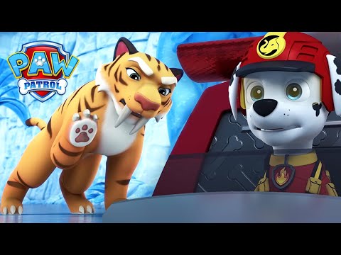 Marshall Helps A Sabretooth With An Ouchy Paw + MORE | PAW Patrol | 1 Hour Compilation