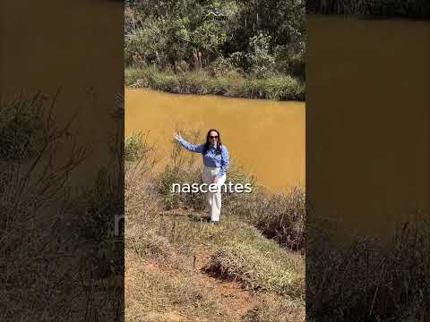 🌿 12 hectares com 3 nascentes por R$ 440 mil! Passa Tempo MG