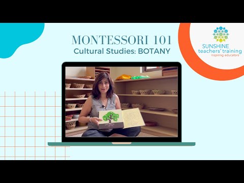 Montessori 101 – Botanik