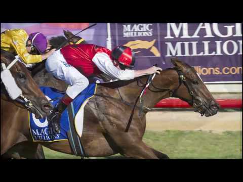 2017 Perth Magic Millions Sale - Atmosphere