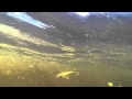 Посмотреть видео обзор Видео обзор