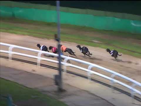King Turbo - Ladbrokes Gold Cup 2018 - Final